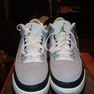 Air Jordan Retro 3 Chlorophyll. Great Condition